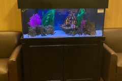 Fishtank